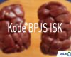 Kode BPJS ISK