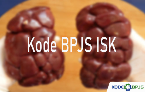 Kode BPJS ISK