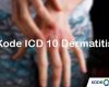 Kode ICD 10 Dermatitis Penyebab Gejala Pengobatan