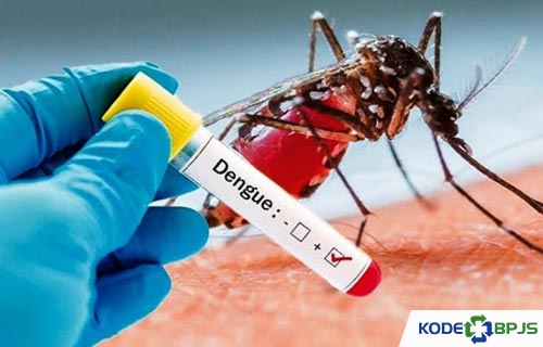 Penyakit demam berdarah dengue ditularkan oleh nyamuk yang bernama