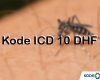 Kode ICD 10 DHF