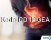 Kode ICD 10 GEA