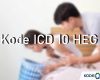 Kode ICD 10 HEG