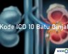 Kode ICD 10 Batu Ginjal