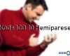 Kode ICD 10 Hemiparese
