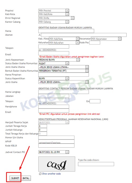 4. Isi Form Registrasi Badan Usaha