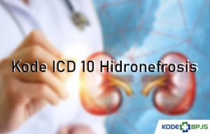 √ Kode ICD 10 Hidronefrosis 2021 : Penyebeb, Gejala & Pengobatan