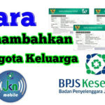 Cara Menambah Anggota BPJS Kesehatan di JKN Mobile Tanpa Perlu ke Kantor