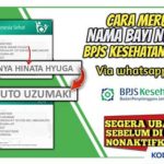 Cara Mengganti Nama Bayi BPJS Online via WhatsApp Pandawa