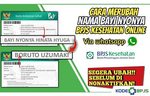 Cara Mengganti Nama Bayi BPJS Online via WhatsApp Pandawa