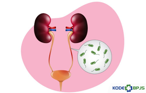 Penyebab Penyakit Retense Urine