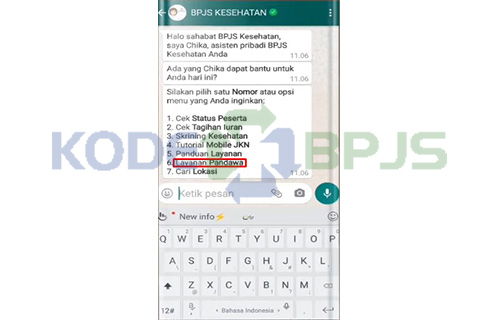 Pilih Layanan Pandawa Untuk Mengganti Nama Bayi BPJS 
