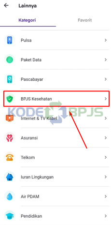 3. Pilih BPJS Kesehatan