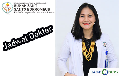 Jadwal Dokter Borromeus