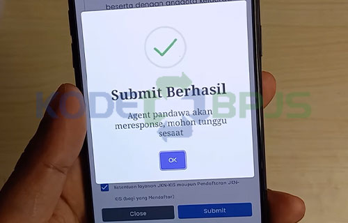 Ganti Email BPJS Lewat WA Berhasil