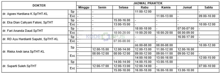 11. Jadwal Dokter Spesialis THT Hermina Arcamanik