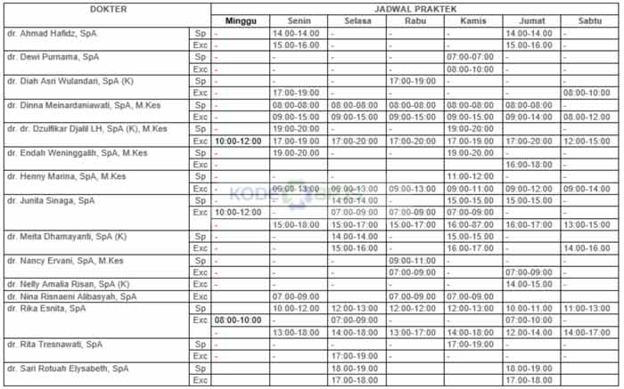 2. Jadwal Dokter Spesialis Anak Hermina Arcamanik