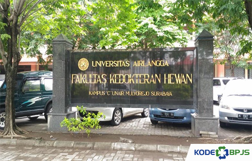 gedung kedokteran hewan unair